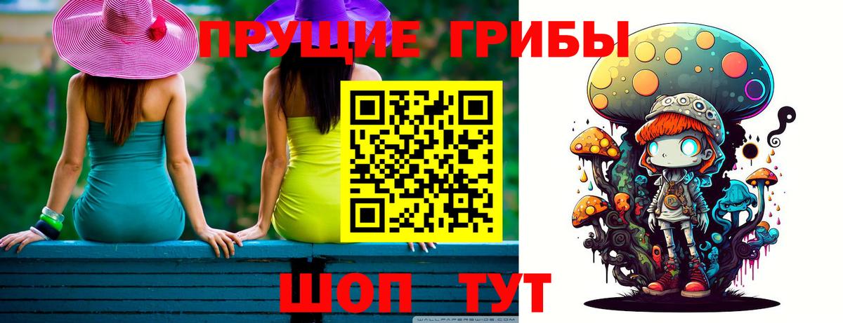 продажа наркотиков  Псилоцибиновые грибы Psilocybe  Вход с VPN  Дзержинский 